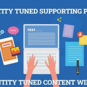 entity tuned pillar pages